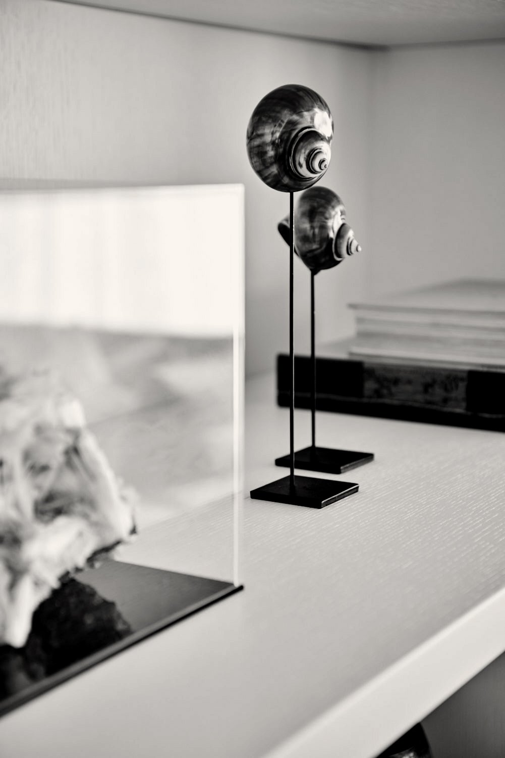 interior design detail seashell on shelf